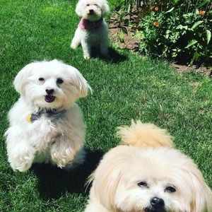 Meet your Posher, Belinda